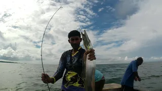 Fishing in bank✅🇹🇹#trinidad #ribbonfish #handlinefishing #gulfofparia #rodandreel