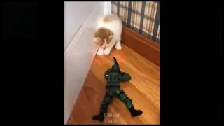 Funny toy Soldier attacking a little cute kitten 🐱