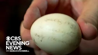 How a man who was given a 72-year-old egg with a message on it found its writer