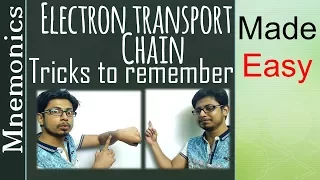 Electron transport chain tricks easy to remember