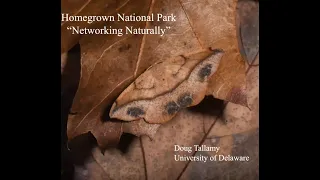 Homegrown National Park by Doug Tallamy 2022