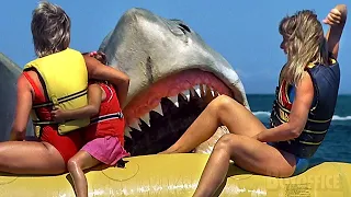 Shark attack on the beach! | Jaws: The Revenge | CLIP