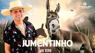 JUMENTINHO AO VIVO/GABRIELZIM #forró #jumento #forrozim #aovivo #piseiro2024