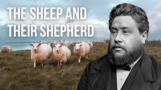 The Sheep and Their Shepherd by Charles Spurgeon