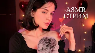 ЧИТАЕМ ХОББИТА ♡🌃 ВЕЧЕРНИЙ ASMR СТРИМ