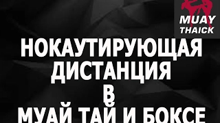 Нокаутирующая дистанция в Муай Тай и боксе - учимся на ней работать