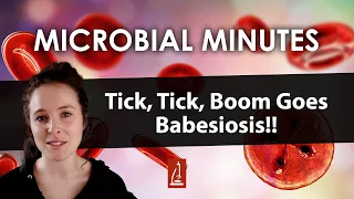 Babesiosis: What is it and Why is it Spreading?