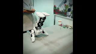 Танцующий робот / Dancing robot #shorts