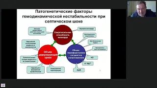 Инфузионная терапия септического шока Афончиков В.С.