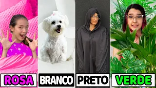 ESCONDE ESCONDE USANDO A COR SORTEADA !! QUEM SE ESCONDE MELHOR ? | Luluca