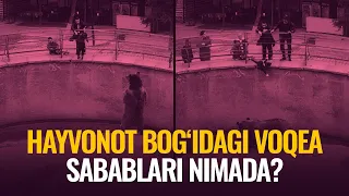 Ayiq oldiga tashlangan qizaloq: onani bunga nima majburladi?