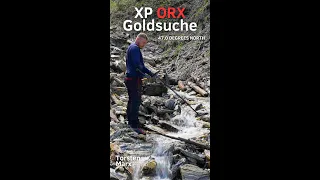 Gold Suche mit dem XP ORX #goldwaschen #gold #torstenmarx