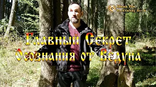 Главный Секрет Осознания от Ведуна. [Ведзнич]