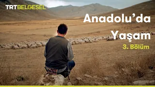 Anadolu'da Yaşam | Bozkır | TRT Belgesel