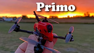 GnarlyFPV Primo is SO MUCH FUN!