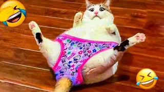 New Funny Videos 2024 🤣 Cutest Cats And Dogs Videos 🐈🐕 Part 03