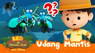 Udang Mantis | Leo Si Penjaga Alam | #minisode