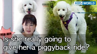 Bom looks like she's used to this [Dogs are incredible : EP.144-1] | KBS WORLD TV 221018