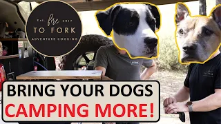 Camping with Dogs - Tips, Tricks and Advice from Dog Dads - Feat: Fire to Fork