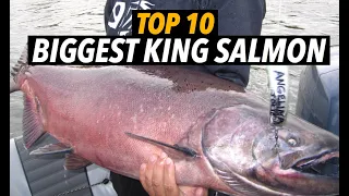 Top 10 Biggest King Salmon (That Will Blow Your Mind!)