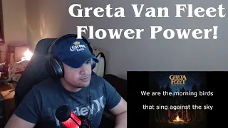 Greta Van Fleet - Flower Power (Reaction - Slice of Heaven!)