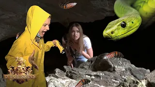 Die Geissens im Krabbel-Horror 🕷️🐍😫 I Die Geissens