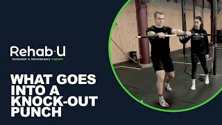 What goes into a knock out punch...  Optimizing hip rotation power