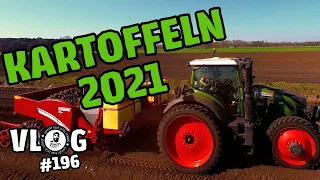 vLog 196: KARTOFFELN, endlich KARTOFFELN! 🥔🚜 - Extra LANG für die Feiertage 🐰