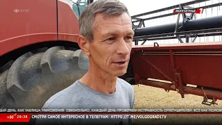 Новости Волгограда и Волгоградской области 19 07 2021