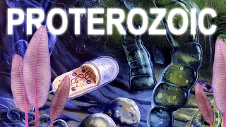 The improvements of the cells : Proterozoic