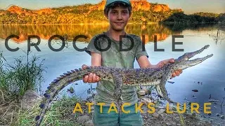 Nile Crocodile Smashes Top water Lure! (while Tiger fishing)