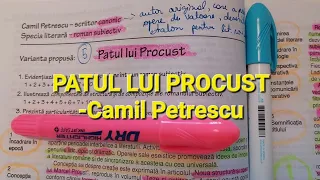 📖📚 Invățăm impreună PATUL LUI PROCUST -Camil Petrescu - comentariu, eseu, personaje // BACALAUREAT