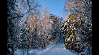 Estonian winter photography - Eesti imeilusa talve fotod (2021)