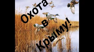 Охота на утку! Отличная утрянка с подхода!