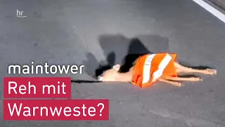 Reh mit Warnweste verkleidet | maintower