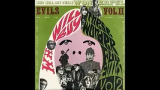 Various – Who Will Buy These Wonderful Evils Vol II “A 60’s Compilation With Rare Swedish Beat Acts”