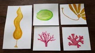 Arts & Crafts with a Naturalist: Seaweed Watercolor