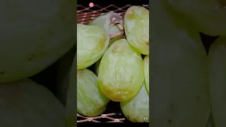 Time Lapse Of Grapes Turning into raisins