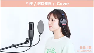 『 桜 ／ 河口恭吾 』【Cover】長谷川愛  歌ってみた