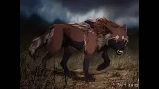 Anime wolves-Battle Scars