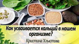 Как усваивается кальций в нашем организме? Почему молочные продукты вымывают кальций?