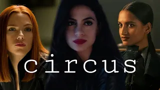 Circus || Multifemale