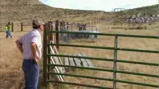 Wyoming Fieldgrove Farm - America's Heartland