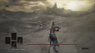 Artorias vs Slave Knight Gael, No damage