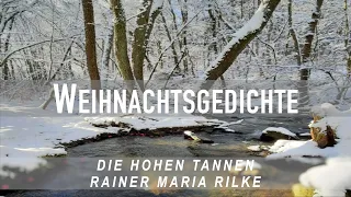 Weihnachtsgedichte * Die hohen Tannen * Rilke #Geschichten #shorts