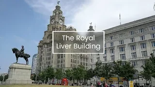 The Royal Liver Building Wedding Venue Tour | Hen Heaven