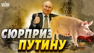 Путину подсунули свинью. Эрдоган заступился за Украину и попер против РФ