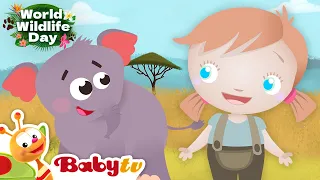 Wild Animals for Kids 🐘 🐒 | Elephants, Cheetah & Monkeys | World Wildlife Day | @BabyTV