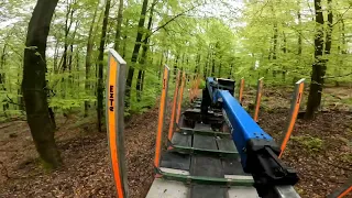 holztransport in wald 2024