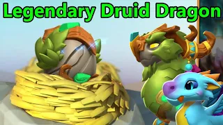 DRUID DRAGON HATCHING! DotM & LOYAL DRAGON Hatching + Battles! - DML #1449